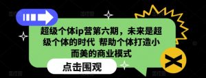 超级个体ip营第六期,未来是超级个体的时代  帮助个体打造小而美的商业模式-赚金金-技能学习分享
