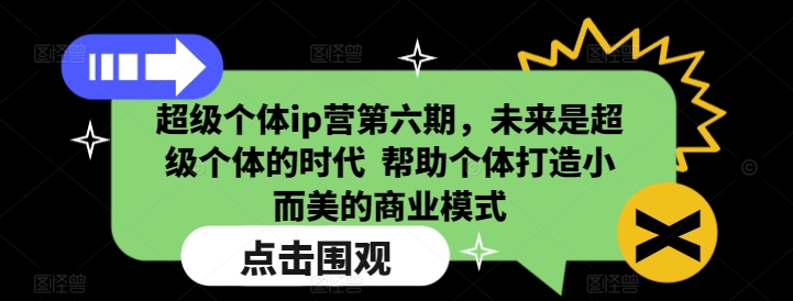 超级个体ip营第六期，未来是超级个体的时代  帮助个体打造小而美的商业模式-赚金金-技能学习分享