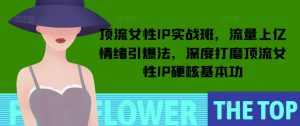 顶流女性IP实战班,流量上亿情绪引爆法,深度打磨顶流女性IP硬核基本功-赚金金-技能学习分享