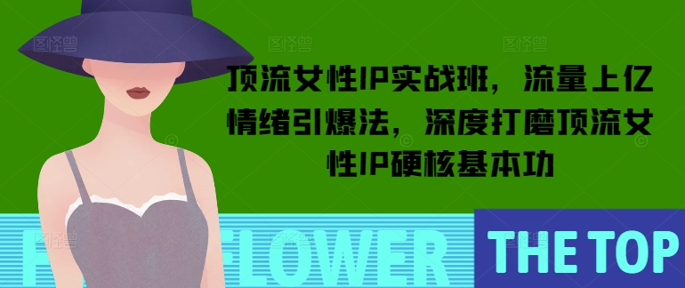 顶流女性IP实战班，流量上亿情绪引爆法，深度打磨顶流女性IP硬核基本功-赚金金-技能学习分享