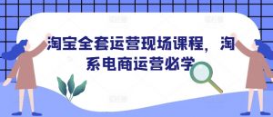 淘宝全套运营现场课程,淘系电商运营必学-赚金金-技能学习分享