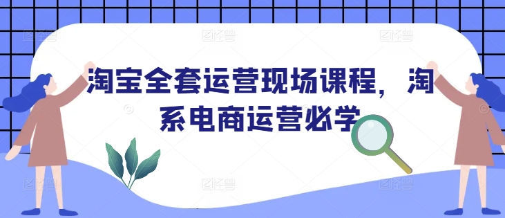 淘宝全套运营现场课程，淘系电商运营必学-赚金金-技能学习分享