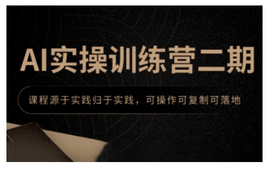 AI实操训练营二期，课程源于实践归于实践，可操作可复制可落地-赚金金-技能学习分享