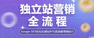 独立站营销全流程,Google SEO优化,社媒站外引流,独家营销技巧-赚金金-技能学习分享
