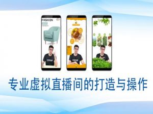 个人虚拟直播间的搭建与操作,专业虚拟直播间的打造与操作-赚金金-技能学习分享