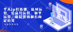 个人ip打造课,私域运营,公众号运营,知乎运营,底层逻辑和方向定位等-赚金金-技能学习分享