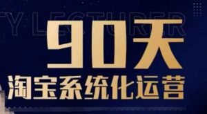 90天淘宝系统化运营,从入门到精通-赚金金-技能学习分享