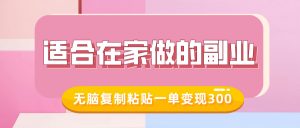 适合在家做的副业,小红书冷知识账号,无脑复制粘贴一单变现300-赚金金-技能学习分享