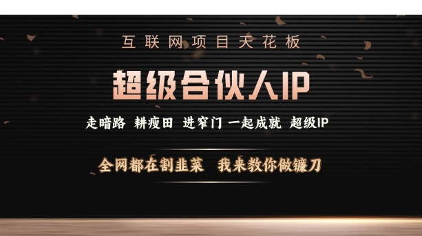 互联网项目天花板,超级合伙人IP,全网都在割韭菜,我来教你做镰刀【仅揭秘】-赚金金-技能学习分享