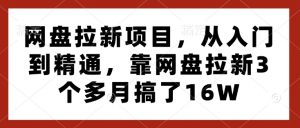 网盘拉新项目,从入门到精通,靠网盘拉新3个多月搞了16W-赚金金-技能学习分享