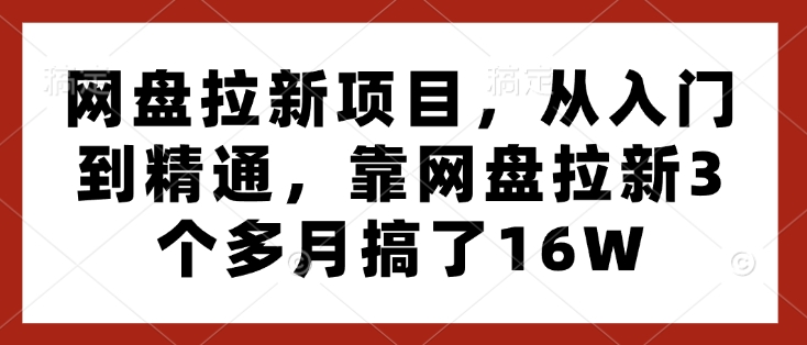 网盘拉新项目，从入门到精通，靠网盘拉新3个多月搞了16W-赚金金-技能学习分享