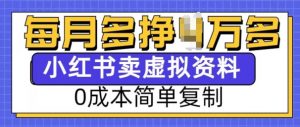小红书虚拟资料项目,0成本简单复制,每个月多挣1W【揭秘】-赚金金-技能学习分享