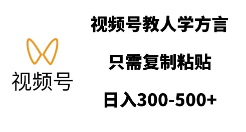 视频号教人学方言，只需复制粘贴，日入多张-赚金金-技能学习分享