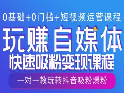 0基础+0门槛+短视频运营课程，玩赚自媒体快速吸粉变现课程，一对一教玩转抖音吸粉爆粉-赚金金-技能学习分享