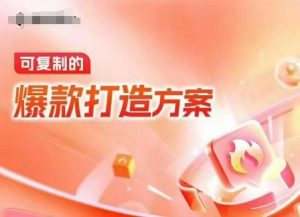 天猫电商爆款运营,可复制的爆款打造方案(线下内训课录音+字幕)-赚金金-技能学习分享