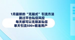 1月最新的无脑式引流方法,跳过平台私信风控,每天都可以无限发私信,单天引流500+精准用户-赚金金-技能学习分享