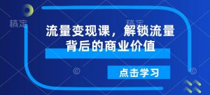 流量变现课,解锁流量背后的商业价值-赚金金-技能学习分享