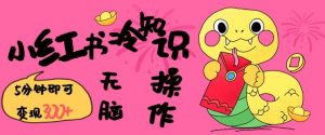 小红书冷知识账号,无脑复制粘贴,5分钟即可变现3张-赚金金-技能学习分享