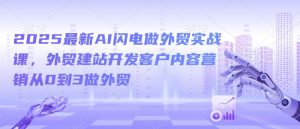 2025最新AI闪电做外贸实战课,外贸建站开发客户内容营销从0到3做外贸-赚金金-技能学习分享