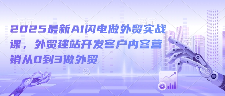 2025最新AI闪电做外贸实战课，外贸建站开发客户内容营销从0到3做外贸-赚金金-技能学习分享