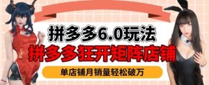 拼多多虚拟商品暴利6.0玩法,轻松实现月入过W-赚金金-技能学习分享
