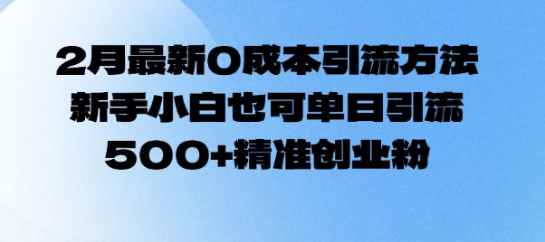 2月最新0成本引流方法，新手小白也可单日引流500+精准创业粉-赚金金-技能学习分享
