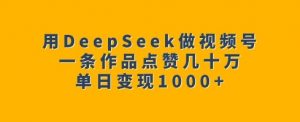 用DeepSeek做视频号,一条作品点赞几十万,单日变现1k-赚金金-技能学习分享