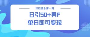 男粉引流新方法不违规,当日即可变现-赚金金-技能学习分享
