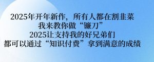 2025年开年新作,所有人都在割韭菜,我来教你做“镰刀” 2025让支持我的好兄弟们都可以通过“知识付费”拿到满意的成绩【揭秘】-赚金金-技能学习分享
