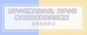 知乎小说推文怎么玩，知乎小说推文项目保姆级实战教程-赚金金-技能学习分享