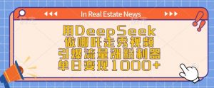 用DeepSeek做哪吒走秀视频，引爆流量涨粉利器，单日变现1k-赚金金-技能学习分享