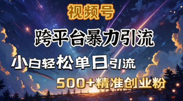 跨平台暴力引流，私域完美闭环，日引500+精准创业粉-赚金金-技能学习分享