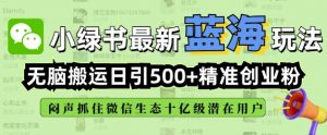 小绿书无脑搬运引流,全自动日引500精准创业粉,微信生态内又一个闷声发财的机会-赚金金-技能学习分享