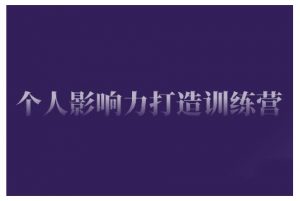 个人影响力打造训练营,掌握公域引流、私域运营、产品定位等核心技能,实现从0到1的个人IP蜕变-赚金金-技能学习分享