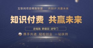 别人苦寻无果,为何他们靠知识付费卖项目 2025 年轻松年入100个?【揭秘】-赚金金-技能学习分享