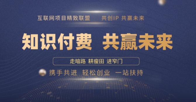 别人苦寻无果，为何他们靠知识付费卖项目 2025 年轻松年入100个?【揭秘】-赚金金-技能学习分享