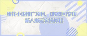 蛋花小说推文项目,0粉即可变现,新人搬运实操教程-赚金金-技能学习分享