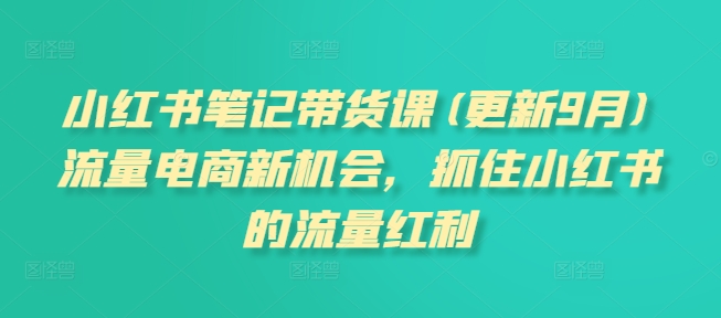 小红书笔记带货课(更新25年2月)流量电商新机会，抓住小红书的流量红利-赚金金-技能学习分享