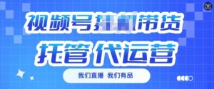 视频号挂J直播带货托管代运营,每个月多挣3k【揭秘】-赚金金-技能学习分享