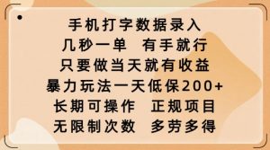 手机打字数据录入,几秒一单,有手就行,只要做当天就有收益,暴力玩法一天低保2张-赚金金-技能学习分享
