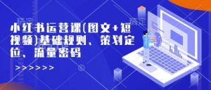 小红书运营课(图文+短视频)基础规则、策划定位、流量密码-赚金金-技能学习分享