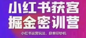 小红书获客掘金线下课,录音+ppt照片,小红书运营玩法,获客印钞机-赚金金-技能学习分享