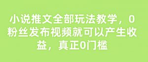 小说推文全部玩法教学,0粉丝发布视频就可以产生收益,真正0门槛-赚金金-技能学习分享