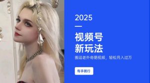 搬运老外奇葩视频,撸视频号分成计划收益,每天只需一小时,新手小白轻松月入过W-赚金金-技能学习分享