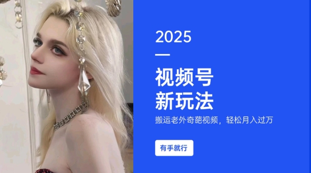 搬运老外奇葩视频，撸视频号分成计划收益，每天只需一小时，新手小白轻松月入过W-赚金金-技能学习分享