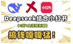 deepseek+小红书打造流量生产线实操课,0到1全流程拆解,搞钱嘎嘎猛-赚金金-技能学习分享