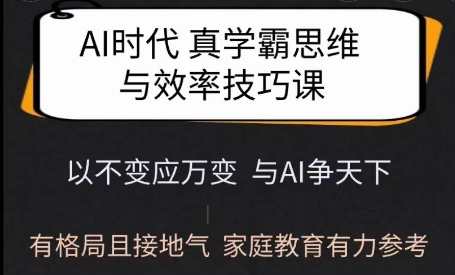 Ai时代真学霸思维与学习方法课,有格局且接地气,家庭教育有力参考-赚金金-技能学习分享