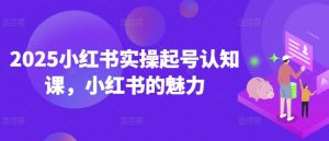 2025小红书实操起号认知课,小红书的魅力-赚金金-技能学习分享