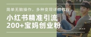 小红书混剪日引200+宝妈创业粉,简单无脑操作,多种变现详细教程-赚金金-技能学习分享