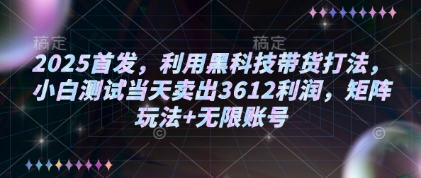 2025首发，利用黑科技带货打法，小白测试当天卖出3612利润，矩阵玩法+无限账号【揭秘】-赚金金-技能学习分享
